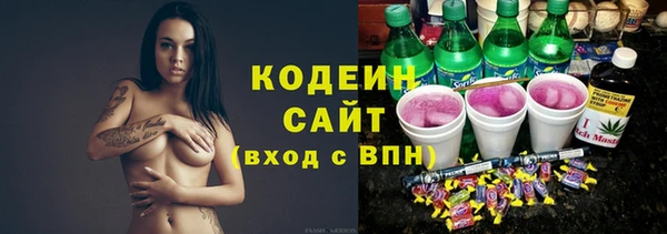индика Алзамай
