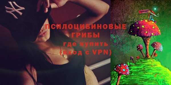 индика Алексин