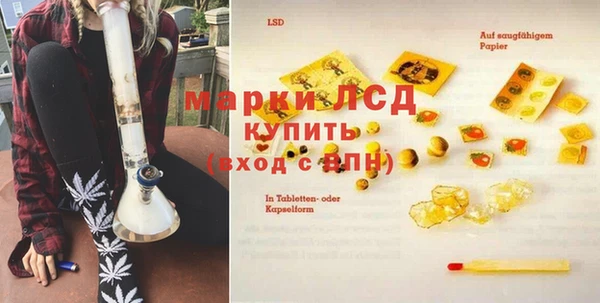 индика Алексин