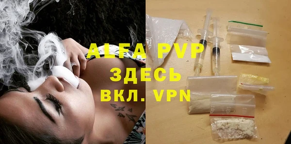 мяу мяу мука Абаза