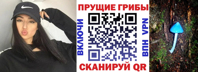 Галлюциногенные грибы мухоморы  Кизилюрт 